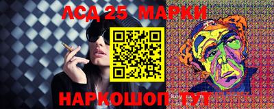 мяу мяу мука Будённовск