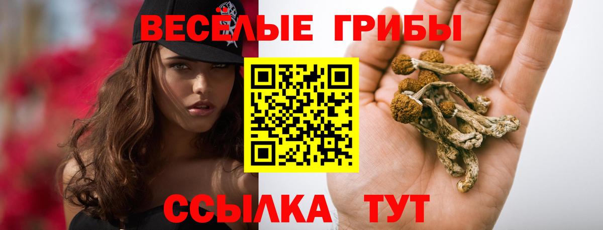 Псилоцибиновые грибы Magic Shrooms  Вход с VPN  Новоалтайск 